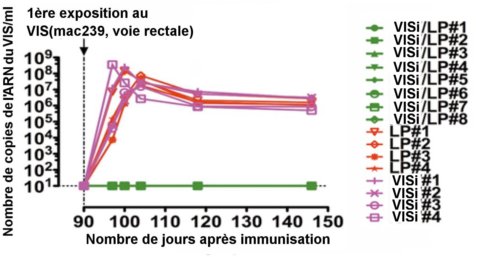 <em>La courbe présente, en ordonnée, la densité d'ARN du VIS</em><br /><em>mesurée dans le plasma des 16 animaux étudiés</em><br /><em>(tableau de droite). On remarque que les huit macaques</em><br /><em>immunisés au VISi/LP ne présentent pas d'infection(courbe verte)</em><br /><em>à la différence des huit autres qui ont reçu soit du LP seul, soit du virus inactivé VIVi seul. Crédit J.M. Andrieu et Wei Lu.</em>