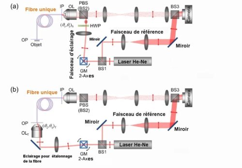 <em>Fig.3. Détails du montage expérimental. a) Montage de prise de vue LMSF.</em><br /><em>b) Montage d'étalonnage de la fibre, c'est-à-dire de mesure de sa matrice de transmission;</em><br /><em>OL objectif de microscope, GM miroir galvanométrique à deux axes de rotation, PBS cube séparateur polarisant, HWP, lame de retard demi-onde, OP plan de l'objet, IP, plan d'entrée de la fibre. Crédit Wonshik Choi.</em>