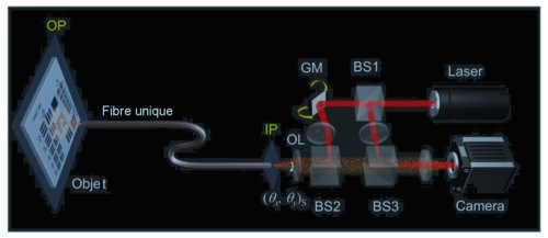 <em>Fig. 1. Schéma du montage LSMF. L'interférence entre la lumière réfléchie par l'objet et un faisceau de référence est enregistrée par une caméra. Un miroir galvanométrique à deux axes de balayage, GM, contrôle les angles d'incidence (θx, θy)s du faisceau de lumière sur la fibre. BS1, BS2 et BS3sont des cubes séparateurs, OL est un objectif de microscope, Ip est le plan d'entrée de la fibre, OP le plan de l'objet, ici une mire de microscopie.</em> <em>Crédit Wonshik Choi.</em>