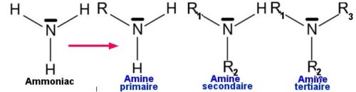 Ammoniac_Amines_2-500