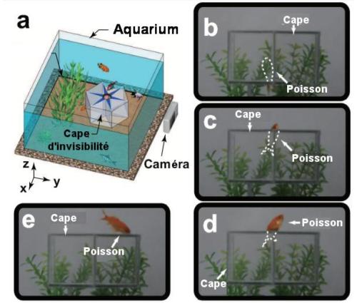 Fig.1. Observation expérimentale d’un poisson dans ue cape d’invisibilité installée dans un aquarium. a)La cape est constituée de 6 prismes d’indice de réfraction n= 1,78 contenus dans une enceinte de section hexagonale. Les photos b),c), d) et e) décrivent la nage d’un poisson à travers l’aquarium et la cape. On a figuré en pointillé blanc les positions du poisson quand il est invisible.