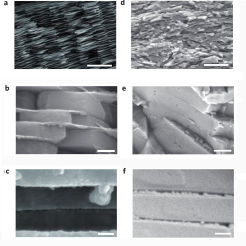 Fig. 3. Comparaison des microstructures de la nouvelle céramique (a, b, c, colonne de gauche) à celle de la nacre d’ormeau (d, e, f, colonne de droite). Les barres d’échelle valent, de haut en bas 10 µm (a et d), 500 nm, (b et e) et 250 nm (c et f). Ces micrographies ont été obtenues par microscopie électronique à balayage. Sur la première ligne, (a et d), on observe l’organisation des plaquettes à petite et grande échelle. Sur la deuxième, on voit l’empilement local des plaquettes. Enfin, sur la dernière ligne, (c et f ), on remarque à l’interface entre plaquettes des ponts de matière minérale et des nano-aspérités aussi bien dans la phase vitreuse de la nouvelle céramique (f) que dans la phase organique de la nacre (c). Crédit Nature Materials.