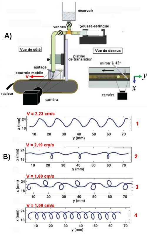 Fig.1. A) Schéma de l’appareillage expérimental de la « machine à coudre de la mécanique des fluides ». Un pousse-seringue permet d’injecter du liquide dans l’ajutage de sortie à une vitesse verticale constante Uc . B) Figures obtenue avec des vitesses différentes de la courroie sur laquelle aboutit le jet de liquide visqueux. La vitesse V de la courroie mobile varie de 2,23 cm/s à 1 cm/s. Adapté avec permission de Robert L. Welch, Billy Szeto, and Stephen W. Morris, PHYSICAL REVIEW E 85, 066209 (2012). © 2015 par APS.