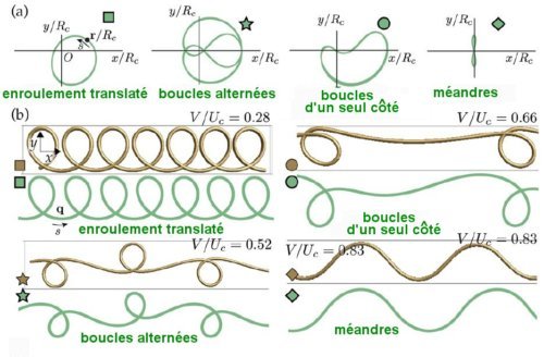 Fig.3. Comparaison des orbites (a) et figures 'b) correspondantes obtenues, en vert, avec le modèle géométrique et, en brun, par simulation. . Adapté avec permission de P.T. Brun, Basile Audoly, Neil M. Ribe, T. S. Eaves, and John R. Lister, PHYSICAL REVIEW E 77, 066218 _2008 © 2015 par APS.