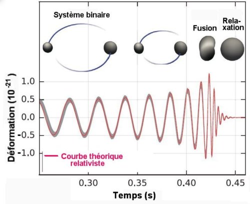 Fig.3. En haut modèle relativiste de la coalescence des deux trous noirs. En bas, courbe donnant l’estimation relativiste de !’événement observé à Hanford. On peut en déduire vitesse et distance relative des deux trous noirs. Adapté de Observation of Gravitational Waves from a Binary Black Hole Merger B. P. Abbott et al. (LIGO Scientific Collaboration and Virgo Collaboration), PHYSICAL REVIEW LETTERS, 116, 061102 (2016) avec autorisation Creative Common License.