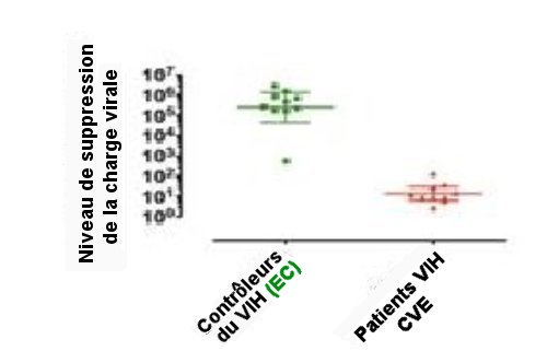 Fig. 1 Suppression in vitro de la charge virale par des cellules CD8+ T , en vert, chez 10 "contrôleurs du VIH"(EC) et, en marron, chez 10 patients ayant une charge virale élevée de VIH (CVE). Sur le contrôleur du VIH n°6, on observe une plus faible réduction de la charge virale. Cet EC n°6, porteur du KIR3DL1, ne l'était pas du HLA-B-Bw4, mais du HLA-B-Bw6. Reproduit de Frontiers in Immunology, 10 April 2016