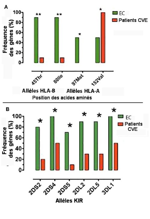 Fig.2. Différences de fréquences des allèles HLA et KIR entre 10 "contrôleurs du VIH" (EC) et 10 patients atteints du Des allèles HLA-A et HLA-B sont plus fréquents chez les EC que IH avec une charge virale élevée. A)chez les patients CVE. B) 5 allèles KIR sont plus fréquents chez les EC que chez les patients CVE. 5 allèles KIR sont plus fréquents chez les EC que chez les patients CVE. Fig. 1 Suppression in vitro de la charge virale par des cellules CD8+ T , en vert, chez 10 "contrôleurs du VIH" et, en marron chez 10 patients ayant une charge virale élevée de VIH (CVE). Sur le contrôleur du VIH n°6, on observe une plus faible réduction de la charge virale. Cet EC n°6, porteur du KIR3DL1, ne l'était pas du HLA-B-Bw4, mais du HLA-B-Bw6. Reproduit de Frontiers in Immunology, 10 April 2016.