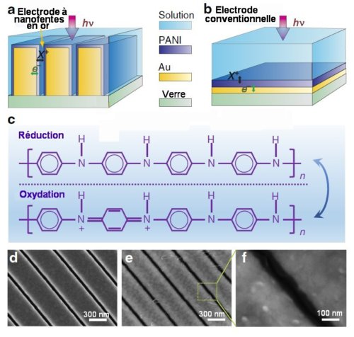 Fig.1. Electrodes plasmoniques à fentes. a)Schéma d'une électrode plasmonique à nanofentes en or. Le pas des rangées de fentes est ici de 500 nm (0,5 µm). La largeur des fentes est de 60 nm. b) Schéma d'une électrode conventionnelle réalisé avec les mêmes constituants pour comparaison avec l'électrode plasmonique. c) Structure chimique du polymére PANI sous sa forme réduite(en haut) et sa forme oxydée (il manque un électron sur deux atomes d'azote N). Le champ électrique appliqué entraîne le basculement d'un état à l'autre. d) Images au microscope électronique à balayage (MEB) de l'électrode à nanofentes avant le dépôt de PANI. e) Images du même objet après dépôt de PANI. f) Image de e agrandie. Crédit Nature Communications. Creative Commons BY