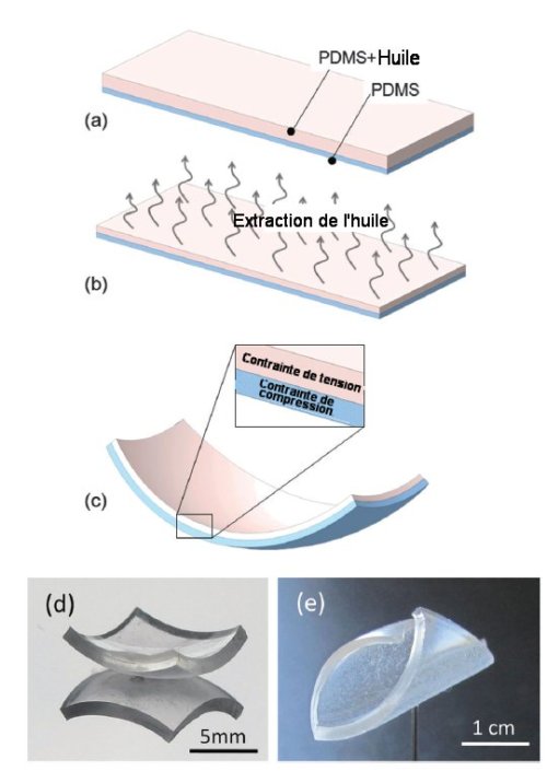 Fig.2. Schéma de la fabrication d'un micro-objet 3D à partir de films bicouches de PDMS a-c) obtention de la courbure spontanée d) Film déformé sphériquement (photographié ici sur un support réfléchissant) e) Déformation cylindrique Reproduit de Polydimethylsiloxane bilayer films with an embedded spontaneous curvature† A. I. Egunov, J. G. Korvink and V. A. Luchnikov Soft Matter, 2016, 12, 45--52 avec autorisation.