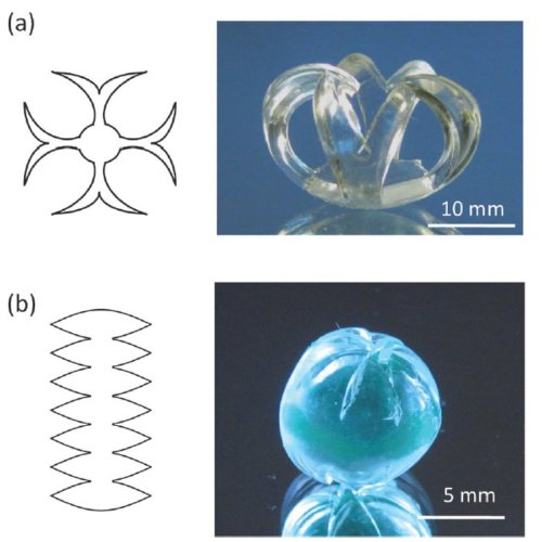 Fig.3. Auto-façonnement de structures 3D à partir de figures 2D. a)La fraction volumique d'huile dans la couche supérieure du film bicouche de PDMS est x = 0,2; b) La fraction volumique d'huile dans la couche supérieure du film bicouche de PDMS est x = 0,4 Reproduit de Polydimethylsiloxane bilayer films with an embedded spontaneous curvature† A. I. Egunov, J. G. Korvink and V. A. Luchnikov Soft Matter, 2016, 12, 45--52 avec autorisation.