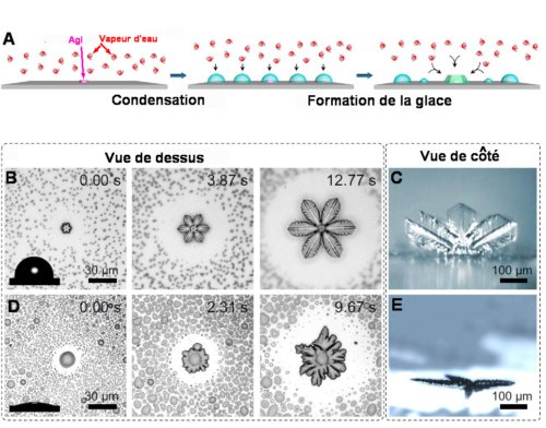 Fig.1. Croissance de cristaux de glace sur une surface hydrophobe et une surface hydrophile. A)Schéma illustran tla méthode expérimentale de croissance de glace sur une surface solide en introduisant des sites de nucléation(AgI). B) Photos successives prises avec un microscope optique couplé à une caméra rapide. Ces images montrent la croissance d’un cristal ressemblant à un trèfle à six feuilles sur une surface hydrophobe ( = 107,3°). En bas à gauche, on voit une photo latérale de goutte d’eau déposée sur la surface qui permet de mesurer l’angle de contact. C) Image prise de côté montrant sur la même surface hydrophobe la morphologie du cristal de glace en mode de croissance hors de la surface (CHS). D) Photos successives de la croissance d’un cristal sur une surface hydrophile ( = 14,5°). On note la forme rappelant la fleur de tournesol. En bas à gauche, photo latérale d’une goutte d’eau pour mesure de l’angle de contact. E) Photo prise de côté de la morphologie du cristal ayant cru le long de la surface (mode CLS) sur la surface hydrophile précédente. Tiré de Distinct ice patterns on solid surfaces with various wettabilities Jie Liu, Chongqin Zhu, Kai Liu, Ying Jiang, Yanlin Song, Joseph S. Francisco, Xiao Cheng Zeng and Jianjun Wang Proceedings of National Academy of Science, 9 October,2017. C.C.