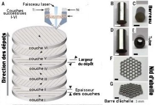 Fig.2. Obtention de nanocomposés NiTi élastocaloriques par dépôt de poudres métalliques fondues au laser A) Schéma du procédé de fusion laser. Les flux de Ni et Ti sont contrôlés séparément. Ces poudres sont mélangées puis exposées au faisceau laser. Le métal fondu est déplacé pour construire le solide désiré par couches successives, un peu comme une imprimante 3D B – C) Photographies de dessus et de côté d'un barreau Ni-Ti nano-composé D - E) Idem pour un tube F - G) Idem pour une structure en nid d'abeille. Adapté de Fatigue-resistant high-performance elastocaloric materials made by additive manufacturing Huilong Hou, Emrah Simsek, Tao Ma, Nathan S. Johnson, Suxin Qian, Cheikh Cissé, Drew Stasak, Naila Al Hasan, Lin Zhou, Yunho Hwang, Reinhard Radermacher, Valery I. Levitas, Matthew J. Kramer, Mohsen Asle Zaeem, Aaron P. Stebner, Ryan T. Ott, Jun Cui, Ichiro Takeuchi Science 366, 1116–1121 (2019) 29 November 2019, avec autorisation.
