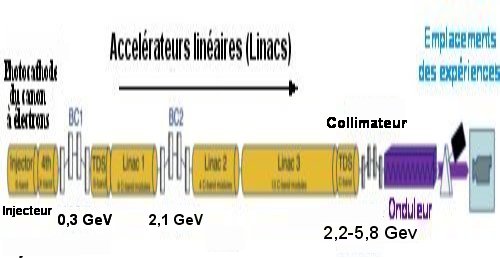 Fig.1. Schéma du SwissFEL. Il n'est pas à l'échelle. BC : compresseur de paquets d'électrons, bunch compressor, en anglais. TDS : Structure de déflexion transverse, transverse-deflecting structure, en anglais. Adapté de A compact and cost-effective hard X-ray free-electron laser driven by a high-brightness and low-energy electron beam, Nature Photonics | VOL 14 | December 2020 | 748–754 |, avec autorisation.