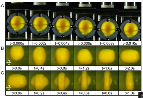 Fig.2. Chocs de translation et rotation sur un jaune d'œuf A) Réactions du jaune d'œuf à une accélération de translation de 600g. g = 9,8 m/s2 B) Réactions du jaune d'œuf à une accélération de rotation. Le récipient est passé en 1s de 0 à 400 rad/s après quoi on a maintenu cette vitesse constante. C) Réactions du jaune d'œuf à une décélération de rotation. La vitesse de rotation du récipient passe de 400rad/s (≈ 3800 t/min) à 0 en 1s et crée ainsi un choc de décélération sur le jaune d'œuf. Tiré de How to deform an egg yolk? On the study of soft matter deformation in a liquid environment Ji Lang, Rungun Nathan and Qianhong Wu Phys. Fluids 33, 011903 (2021); Online: 19 January 2021