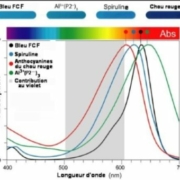 Fig.1. Structures des anthocyanines du chou rouge  R1 et R2 sont des radicaux correspondant aux 8 anthocyanines P1 à P8. Dans le cas de l’anthocyanine P2, R1 est l’ion hydrogène H et R2 est le radical sinapoyl Tiré de Discovery of a natural cyan blue: A unique food-sourced anthocyanin could replace synthetic brilliant blue Pamela R. Denish, Justin B. Siegel et al. Sci. Adv. 2021; 7 : eabe7871 7 April 2021 Creative Commons Attribution License 4.0 (CC BY).