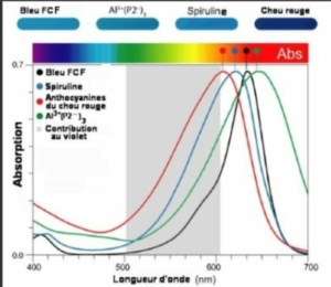Fig.1. Structures des anthocyanines du chou rouge R1 et R2 sont des radicaux correspondant aux 8 anthocyanines P1 à P8. Dans le cas de l’anthocyanine P2, R1 est l’ion hydrogène H et R2 est le radical sinapoyl Tiré de Discovery of a natural cyan blue: A unique food-sourced anthocyanin could replace synthetic brilliant blue Pamela R. Denish, Justin B. Siegel et al. Sci. Adv. 2021; 7 : eabe7871 7 April 2021 Creative Commons Attribution License 4.0 (CC BY).