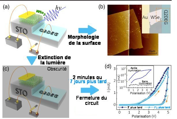 Fig.1. Schéma de la jonction WSe2-Q2DEG a) Elle est éclairée par un laser à 405 nm et le circuit électrique est ouvert. b) Image au microscope à force atomique (AFM) montrant la forme de la surface. Dans l'insert on voit une photographie du dispositif. c) Le dispositif est placé dans l'obscurité à une température de -243 °C pendant 2 minutes ou pendant 7 jours. d) Courbes I-V hystérétiques mesurées après respectivement 2 minutes et 7 jours d'obscurité. On voit qu'on peut obtenir un courant aussi bien après 2 minutes qu'après 7 jours. Il y a donc bien stockage de charges. L'insert montre des courbes I-V avec et sans illumination. Tiré de Coexistence of Photoelectric Conversion and Storage in van der Waals Heterojunctions Yucheng Jiang, Anpeng He, Run Zhao, Yu Chen, Guozhen Liu, Hao Lu, Jinlei Zhang, Qing Zhang, Zhuo Wang, Chen Zhao, Mingshen Long , Weida Hu, Lin Wang, Yaping Qi, Ju Gao, Quanying Wu, Xiaotian Ge, Jiqiang Ning, Andrew T. S. Wee, and Cheng-Wei Qiu PHYSICAL REVIEW LETTERS 127, 217401 (2021), avec autorisation.