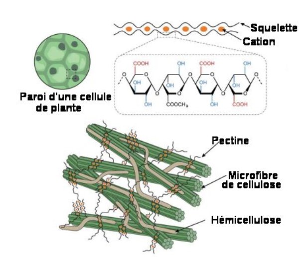 "Fig.1.