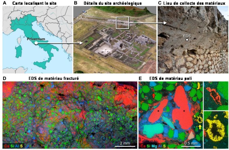 Fig.1. Lieu de collecte et caractéristiques des bétons Romains anciens A) Les échantillons proviennent du site archéologique de Privernum, près de Rome, Italie. B) Le site est représenté par une reconstruction 3D obtenue par photogrammétrie. C) Les échantillons de mortier ont été collectés à partir du mur d’enceinte en béton de la ville. D) Analyse EDS d’une large (~2 cm2 ) surface fracturée. On y voit les régions riches en calcium (en rouge), en aluminium (en bleu) et en soufre (en jaune) du béton. E) Cette image d’une surface polie met en lumière les vestiges d’agrégats de clastes dans le mortier (Ce so,t les grandes parties rouges signalées par des astériques). Les flèches de couleur signalent des anneaux autour de pores riches en calcium (rouge) ou en soufre (jaune). Ils sont agrandis à droite de la figure. Tiré de Hot mixing: Mechanistic insights into the durability of ancient Roman concrete Linda M. Seymour, Janille Maragh, Paolo Sabatini, Michel Di Tommaso , James C. Weaver , Admir Masic Science Advances. 9, eadd1602 (2023) 6 January 2023, CC BY-NC