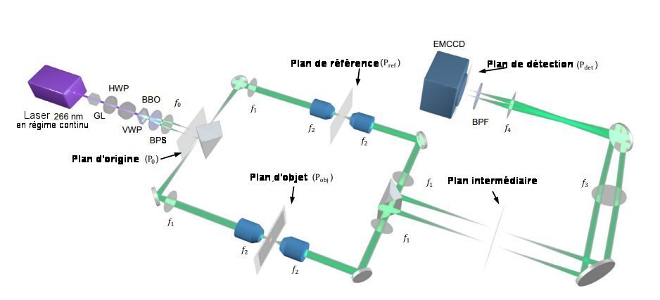 Fig.1. Schéma expérimental du microscope quantique à coïncidence.GL Polariseur laser Glan-Taylor, HWP lame à retard demi-onde, VWP lame à retard variable, BBO cristal de ß-barium borate, BPF filtre passe-bande 532 nm, PBS séparateur de faisceau, EMCCD caméra CCD à multiplicateur d’électrons. Distance focale des lentilles utilisées : f0 = 50 mm, f1 = 180 mm, f2 = 9 mm, f3 = 300 mm et f4 = 200 mm. Tiré de Quantum microscopy of cells at the Heisenberg limit Zhe He, Yide Zhang, Xin Tong, Lei Li & Lihong V. Wang. Nature Communications | (2023) 14:2441. CC BY license 4.0 