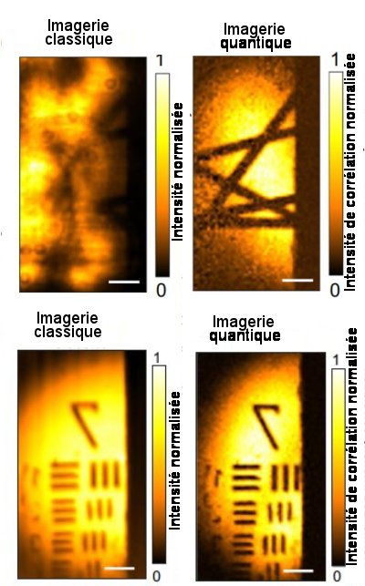 Fig.2. Mesure par coïncidence du microscope quantiqueLes 2 figures du haut représentent les photographies obtenues par microscopie classique ( à gauche) et par microscopie quantique par biphotons intriqués de fibres de carbone en présence de lumière parasite. On atteint une intensité de 8 fois celle du laser en utilisant 2 x 106 clichés successifs que l’on moyenne. Les 2 figures du bas représentent les 2 photographies correspondantes pour un micromètre étalon. Elles montrent que les plus hautes résolutions de l’image classique et de celle par microscopie quantique sont respectivement de 2,9 µm et 1,4 µm. ceci indique que la microscopie quantique améliore la résolution spatiale d’un facteur 2. Les barres d’échelle sur les figures valent 20 µm. Tiré de Quantum microscopy of cells at the Heisenberg limit Zhe He, Yide Zhang, Xin Tong, Lei Li & Lihong V. Wang. Nature Communications | (2023) 14:2441. CC BY license 4.0 