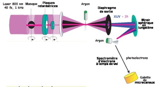 Fig.1. Des liquides différents s’évaporent différemment Un verre d’eau s’évapore plus vite dans un environnement sec. Ajouter à l’eau une longue chaîne de polymères(comme, par exemple, les constituants d’une peinture) change la sensibilité de la vitesse d’évaporation à l’humidité. L’évaporation de l’eau attire les polymères vers la surface, où ils forment une couche dense qui gêne l’évaporation et la rend indépendante de l’humidité. Credit: M. Huisman and S. Titmuss/University of Edinburgh