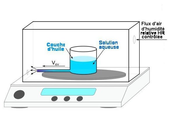 Fig.3.Montage expérimental pour l’étude de l’évaporation Schéma montrant le réservoir et l’un des 5 capillaires connectés. Le fait qu’il y ait 5 capillaires augmente la vitesse d’évaporation, raccourcissant la durée de l’expérience. Tiré de Evaporation of Concentrated Polymer Solutions Is Insensitive to Relative Humidity, Max Huisman, Paul Digard, Wilson C. K. Poon, and Simon Titmuss PHYSICAL REVIEW LETTERS 131, 248102 (2023) .Creative Commons Attribution 4.0 International