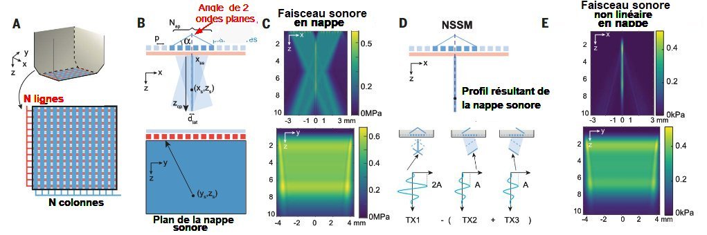 Fig.1. Fonctionnement du NSSMA) Schéma de la disposition d’éléments transducteurs en lignes (rouges) et en colonnes (bleues), en anglais row column adressed transducer array (RCA). B) En haut : transmission d’une onde sonore émise par un sous-ensemble des transducteurs des colonnes. dlat représente la largeur de la nappe sonore obtenue. En bas : réception des échos renvoyés par les éléments de lignes. C) Simulation du champ de pression acoustique de la nappe sonore dans les directions xz et yz. D) En haut : confinement spatial de l’intensité ultrasonore non-linéaire le long des plans xz et xy. En bas : séquence de trois impulsions qui modulent la pression acoustique. E) Simulation du champ de pression acoustique résiduel résultant de la séquence précédente. Tiré de "Nonlinear sound-sheet microscopy: Imaging opaque organs at the capillary and cellular scale" Baptiste Heiles, Flora Nelissen, Rick Waasdorp, Dion Terwiel, Byung Min Par, Eleonora Munoz Ibarra, Agisilaos Matalliotakis, Tarannum Ara, Pierina Barturen-Larrea, Mengtong Duan, Mikhail G. Shapiro, Valeria Gazzola, David Maresca Science 388, eads1325 (2025).