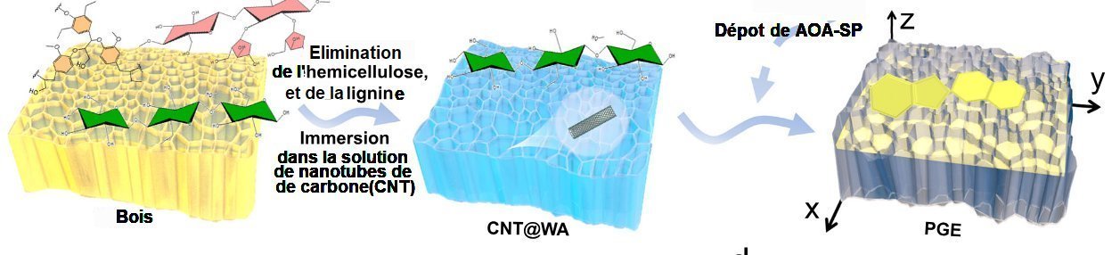 Fig.2 Processus de préparation des dépôts à la surface du PGE
