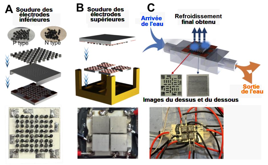 Fig.2. Le procédé d’assemblage du RTE.A) Assemblage des cylindres imprimés 3 D sur les électrodes inférieures. B) Assemblage des cylindres sur les électrodes supérieures. C) Installation d’un élément du RTE sur une circulation d’eau Tiré de Supplementary Materials for Interfacial bonding enhances thermoelectric coolingn,in 3D-printed materials Shengduo Xu*, Sharona Horta, Abayomi Lawal, Krishnendu Maji, Magali Lorion, Maria Ibáñez* Science 387, 845–850 (2025), avec autorisation