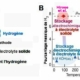 Fig.2. Cellule d’absorption- désorption de l’hydrogène A) Schéma d’une cellule métal-H2 B) Pourcentage (ρm) en poids de H2 dans l’anode de stockage en fonction de la température et comparaison avec le stockage par échange de chaleur (en vert). La ligne en pointillés indique le pourcentage théorique obtenable. Les données correspondant à un stockage électrochimique utilisant un électrolyte soit liquide, soit liquide ionique sont indiquées par les triangles bleus. Le cercle rouge correspond à la capacité de stockage obtenue à 90°C par la cellule Mg-H2. Tiré de High-capacity, reversible hydrogen storage using H–conducting solid electrolytes Takashi Hirose, Naoki Matsui, Takashi Itoh , Yoyo Hinuma, Kazutaka Ikeda, Kazuma Gotoh, Guangzhong Jiang, Kota Suzuki, Masaaki Hirayama, Ryoji Kanno Science 18 September 2025, avec autorisation.